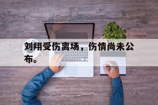 乐鱼体育-刘翔受伤离场，伤情尚未公布。