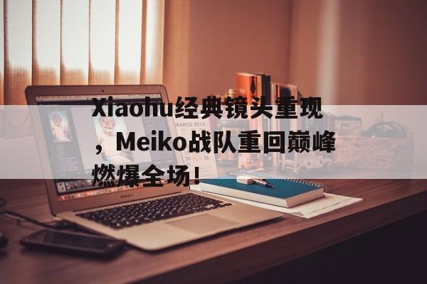 Leyu-Xiaohu经典镜头重现，Meiko战队重回巅峰燃爆全场！