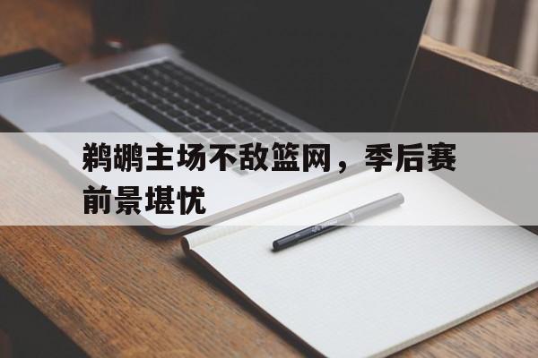 乐鱼体育-鹈鹕主场不敌篮网，季后赛前景堪忧